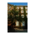 thumbnail image 1 of Building Ivy 03 - Manhattan New York Photography Architecture Vintage Botanical City Unframed Wall Art Print 16 x 24 inches, 1 of 60
