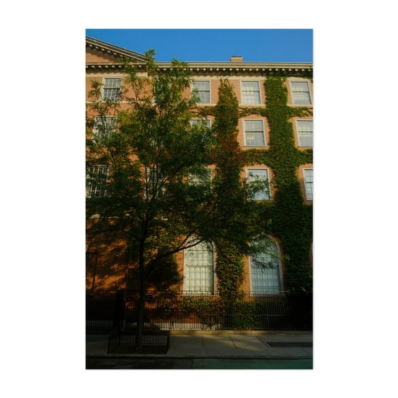 Building Ivy 03 - Manhattan New York Photography Architecture Vintage Botanical City Unframed Wall Art Print 16 x 24 inches