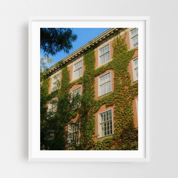 Building Ivy 04 - Manhattan New York Photography Architecture Botanical Vintage Cityscape Nature White Framed Wall Art Print 12 x 16 inches