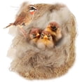 thumbnail image 1 of Building Mat Pigeon Natural Mixing Bird Nesting Material Cushion Cage Liner, Bird Nest Nesting Liners, Handmade Alpaca Fiber Bird Nesting Heart Filler Great for Nest Building and Hideouts(5 PCS), 1 of 5