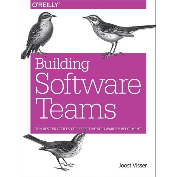 Building Software Teams: Ten Best Practices for Effective Software Development (Paperback)