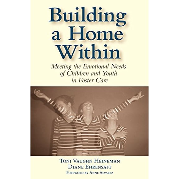 Pre-Owned Building a Home Within: Meeting the Emotional Needs of Children and Youth in Foster Care (Paperback) 1557668396 9781557668394