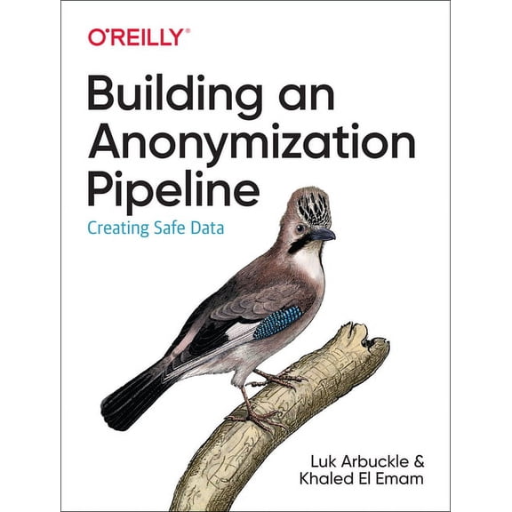 Building an Anonymization Pipeline: Creating Safe Data (Paperback)