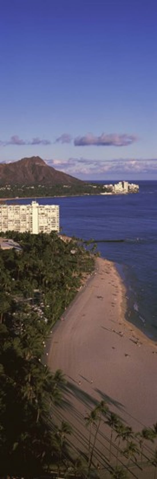 Buildings at the waterfront Honolulu Oahu Honolulu County Hawaii USA Canvas Art - Panoramic Images (18 x 6)