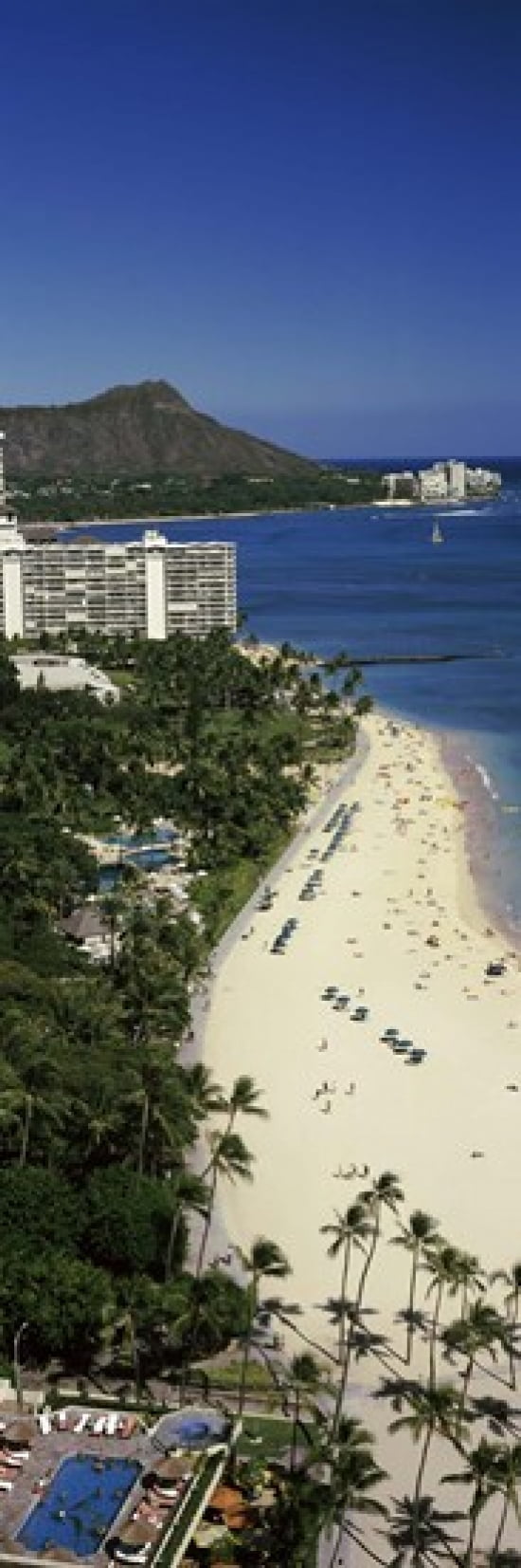 Buildings at the waterfront Honolulu Oahu Honolulu County Hawaii USA Canvas Art - Panoramic Images (18 x 6)