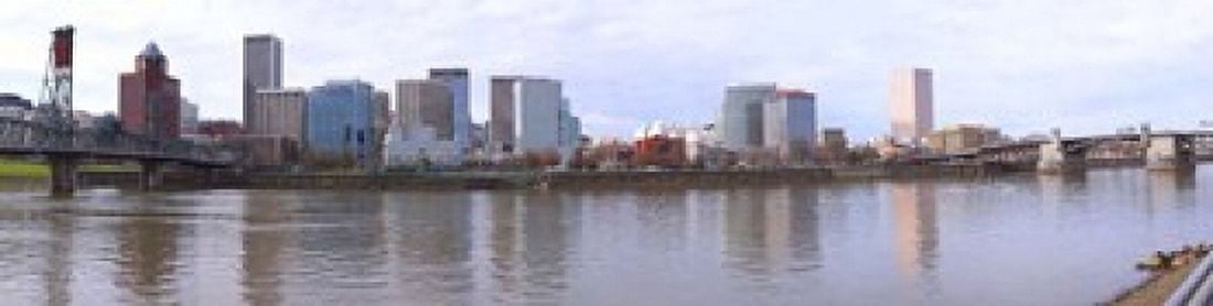 Buildings at the waterfront Portland Multnomah County Oregon USA 2010 Canvas Art - Panoramic Images (20 x 5)