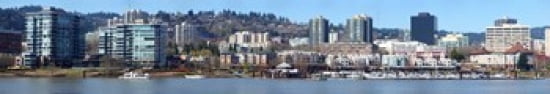 Buildings at the waterfront Portland Multnomah County Oregon USA 2011 Canvas Art - Panoramic Images (44 x 8)