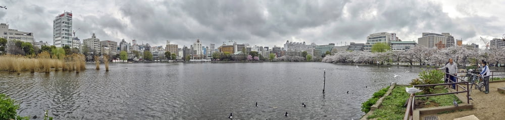 Buildings at waterfront Shinobazu Pond Ueno Park Taito Tokyo Japan Canvas Art - Panoramic Images (27 x 9)