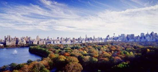 Buildings in a city Central Park Manhattan New York City New York State USA Canvas Art - Panoramic Images (30 x 14)