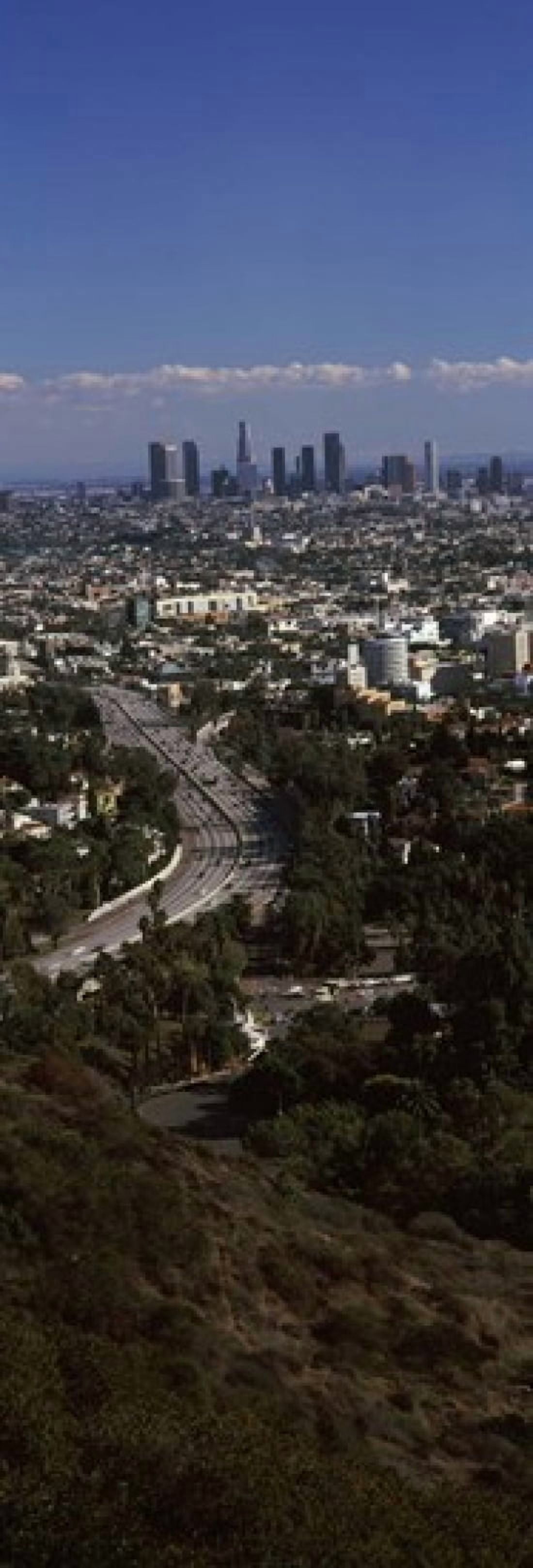 Buildings in a city Hollywood City Of Los Angeles Los Angeles County California USA 2010 Canvas Art - Panoramic Images (18 x 7)