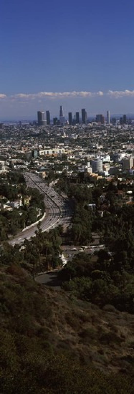 Buildings in a city Hollywood City Of Los Angeles Los Angeles County California USA 2010 Canvas Art - Panoramic Images (36 x 13)