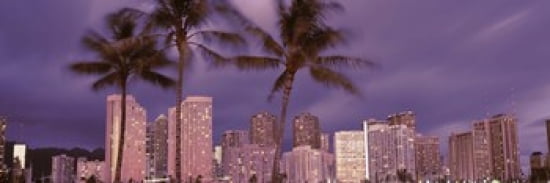 Buildings in a city Honolulu Oahu Honolulu County Hawaii USA 2010 Canvas Art - Panoramic Images (36 x 12)