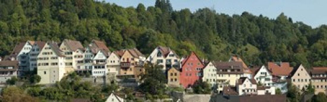 Buildings in a city Horb am Neckar Northern Black Forest Region Baden-Wurttemberg Germany Canvas Art - Panoramic Images (18 x 6)