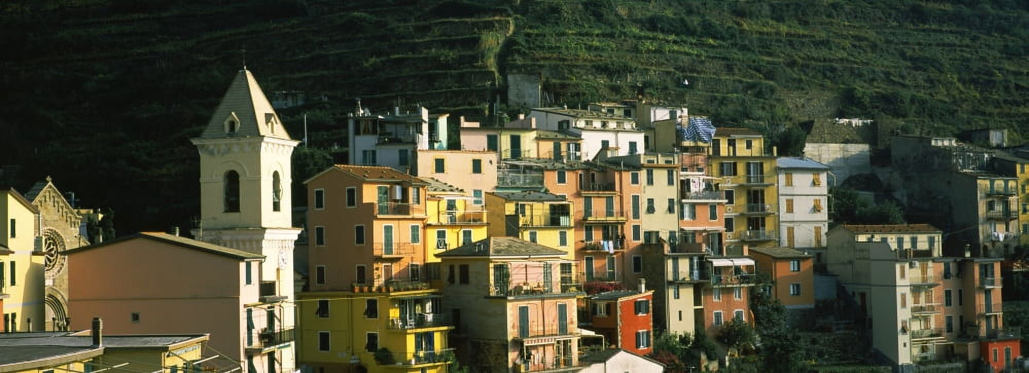 Buildings in a city Manarola Cinque Terre Liguria Italy Canvas Art - Panoramic Images (27 x 9)