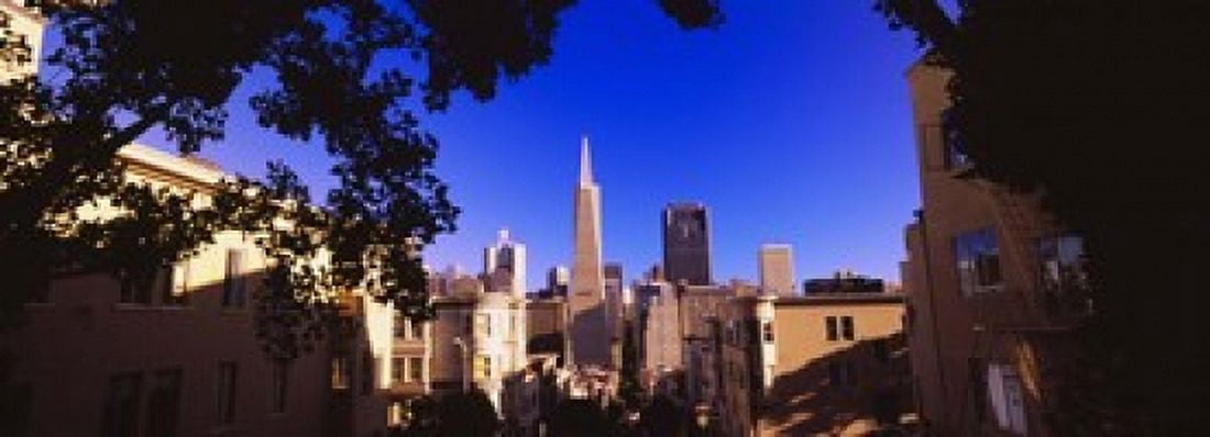 Buildings in a city Telegraph Hill Transamerica Pyramid San Francisco California USA Canvas Art - Panoramic Images (18 x 7)
