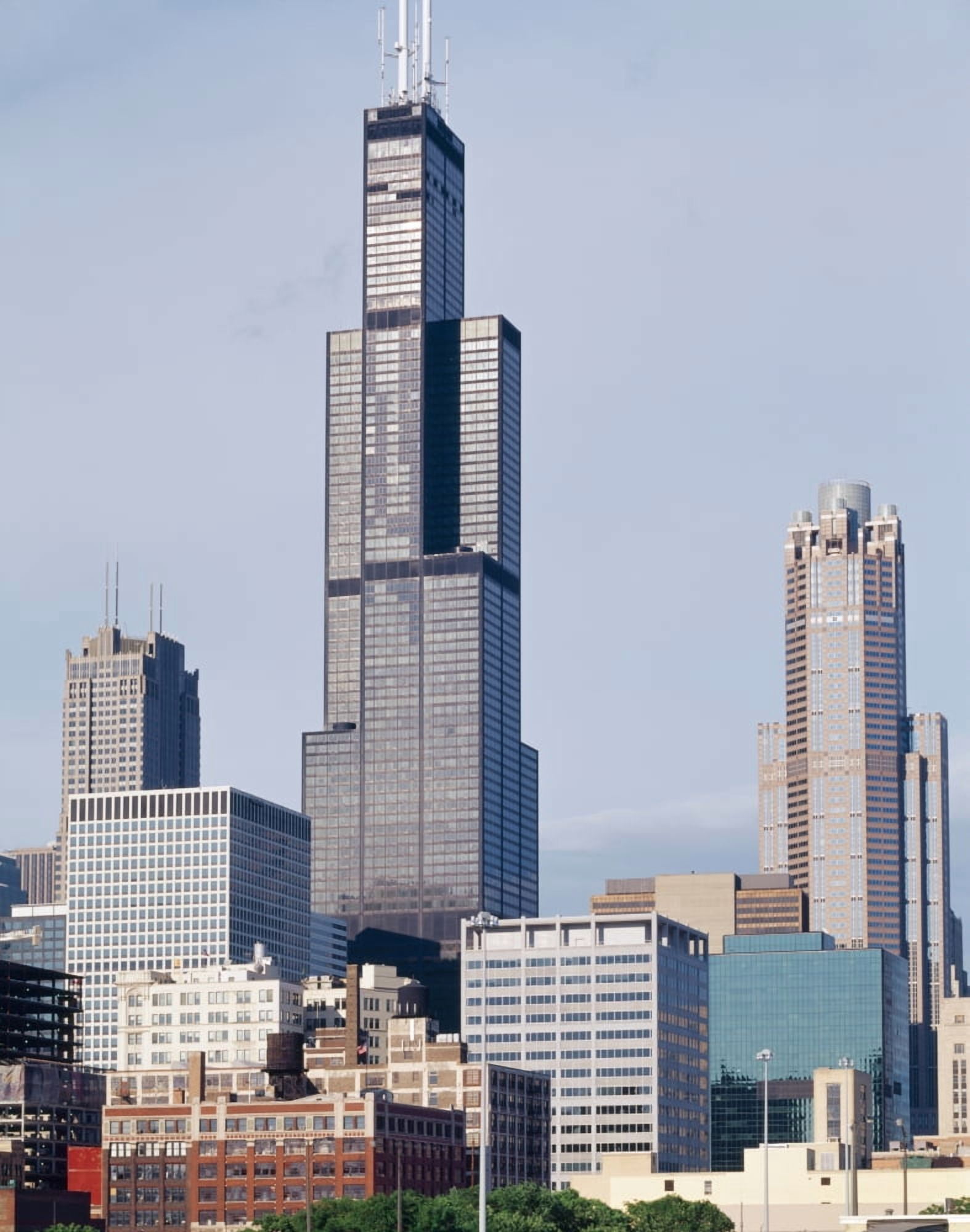 Buildings in a city Willis Tower Chicago Cook County Illinois USA Canvas Art - Panoramic Images (36 x 29)