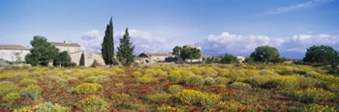 Buildings in a field Majorca Spain Canvas Art - Panoramic Images (18 x 6)
