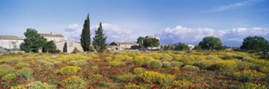 Buildings in a field Majorca Spain Canvas Art - Panoramic Images (36 x 12)