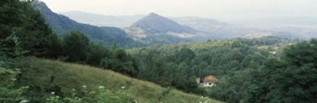 Buildings in a valley Transylvania Romania Canvas Art - Panoramic Images (18 x 6)