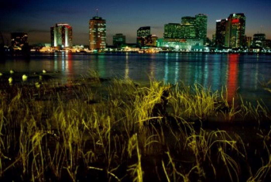 Buildings lit up at night New Orleans Louisiana USA Canvas Art - (18 x 24)