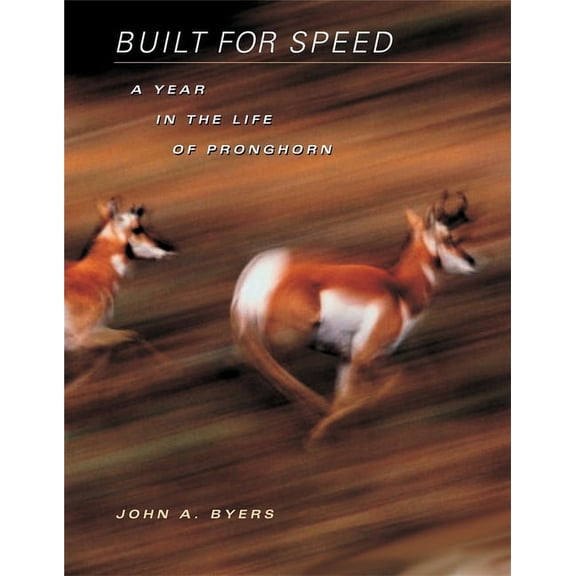 Built for Speed: A Year in the Life of Pronghorn (Hardcover)