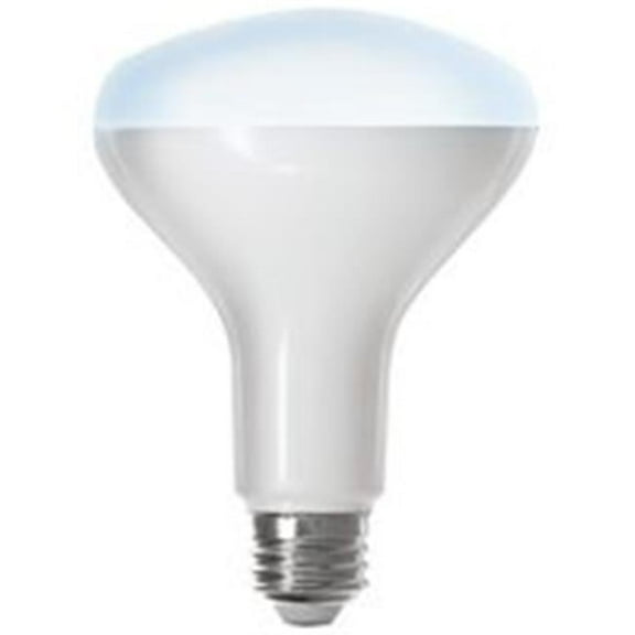 Bulb BR30 5000k Alexa Google