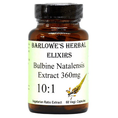 Bulbine Natalensis | 10:1 Extract | 360mg | 60 VegiCaps | Stearate Free | Bottled in Glass | FREE SHIPPING on orders over $49!
