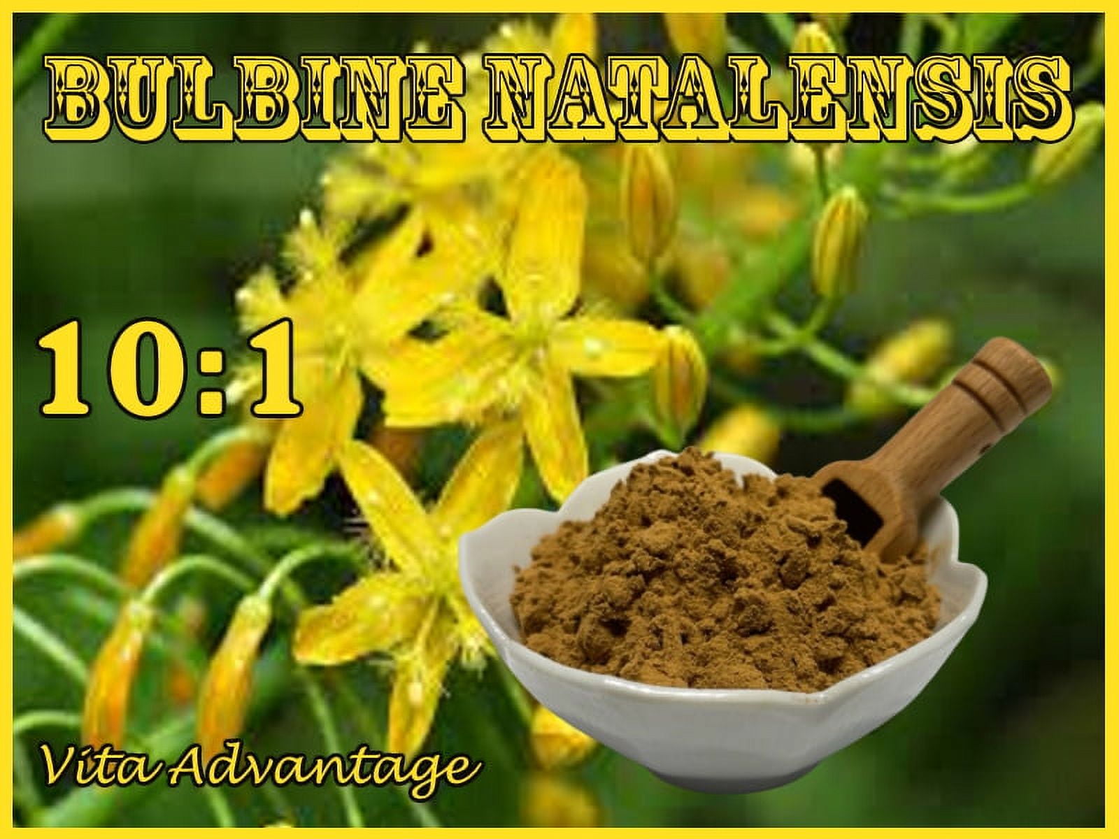 Bulbine Natalensis 10:1 Extract Bodybuilding - Muscle Gain 100g