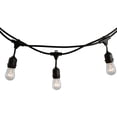 thumbnail image 1 of Bulbrite STRING15/E26-S14KT 48 ft. Outdoor Incandescent String Light, 1 of 10