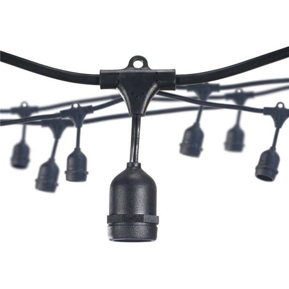30' STRING LIGHT 12 SOCKETS 30'' SPACING E26 BLACK - NO BULBS
