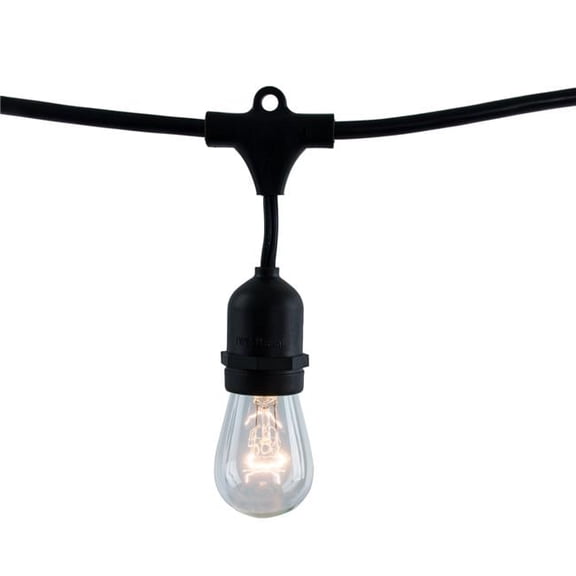 Bulbrite 812482 48 ft. String Light Kit with Vintage Style S14 Incandescent Light Bulbs, Clear