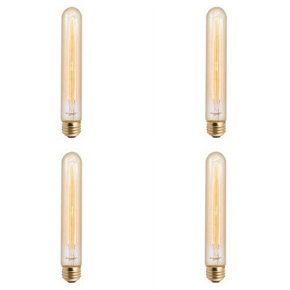 Bulbrite 861048 Pack Of (4) 30 Watt Vintage Edison Dimmable T9 Medium (E26) Incandescent