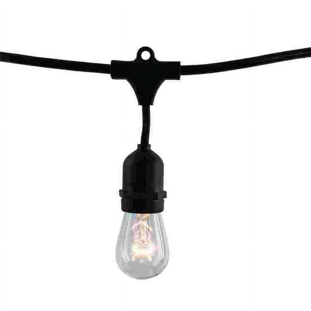 14-ft Black Outdoor Incandescent String Lights with Clear Bulbs