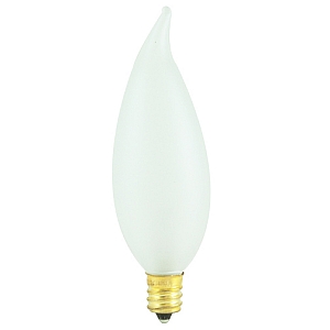 Bulbrite Industries Frosted 120-Volt (2700K) Incandescent Light Bulb (Set of 47) - image 1 of 2