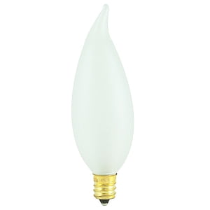 Bulbrite Industries Frosted 120-Volt (2700K) Incandescent Light Bulb (Set of 47)