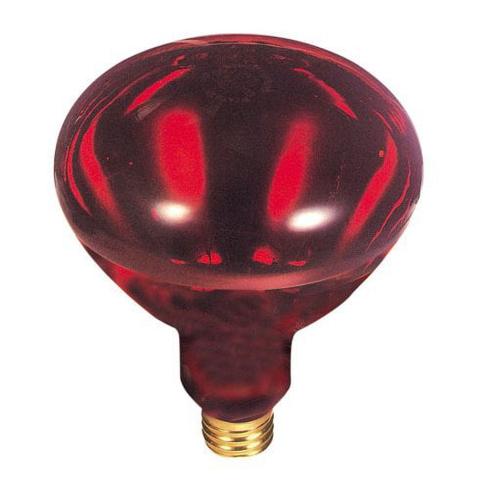 Bulbrite Industries Red Incandescent Light Bulb (Set of 4)