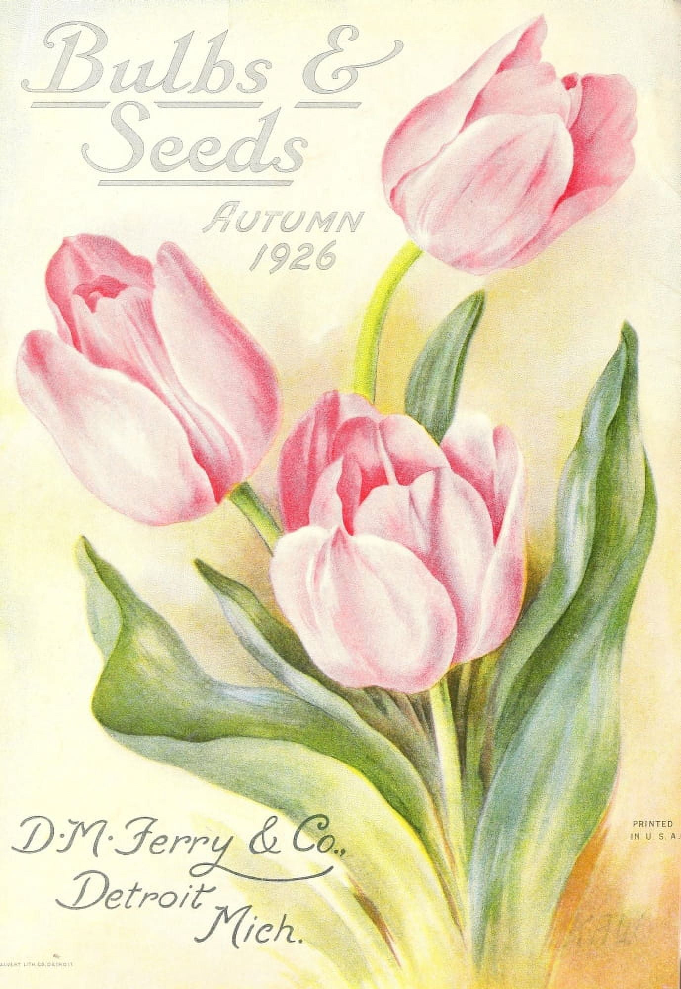Bulbs & Seeds 19126 Tulip cover Canvas Art - Unknown (18 x 24)