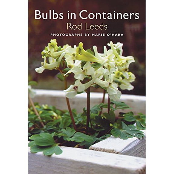 Pre-Owned Bulbs in Containers (Hardcover)
