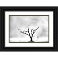 thumbnail image 1 of Buliga, Gina 14x11 Black Ornate Wood Framed with Double Matting Museum Art Print Titled - Namibia: The Spirit of Wilderness, 1 of 4