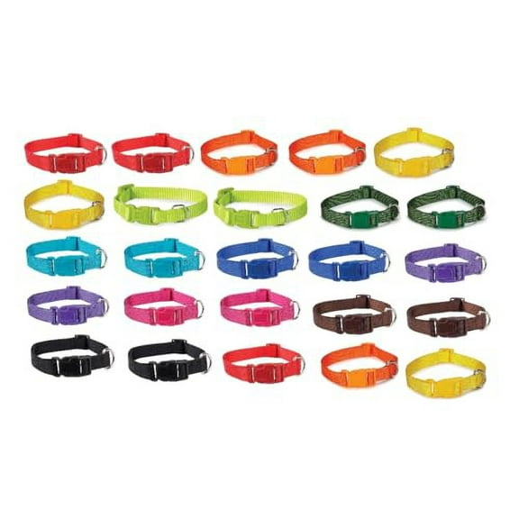 Bulk Adjustable Dog Collars Assorted Colors Vet Rescue Shelter and Donations Choose Size and Quantity (Medium - 25 Pack)