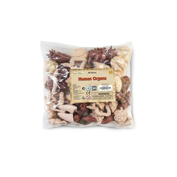 Safari Ltd. Human Organs Bulk Bag - 48 Piece Educational Organ Set for Kids Ages 3+