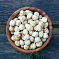 thumbnail image 1 of Bulk Blanched Hazelnuts 10 Pound Wholesale Box, 1 of 4