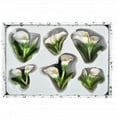 thumbnail image 1 of Bulk Buys HG123-24 Decorative Calla Lily Magnets Set - 24 Piece, 1 of 1