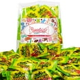 Bulk Candy Pack of SourPatch Kids Candy Fun Size Individually Wrapped