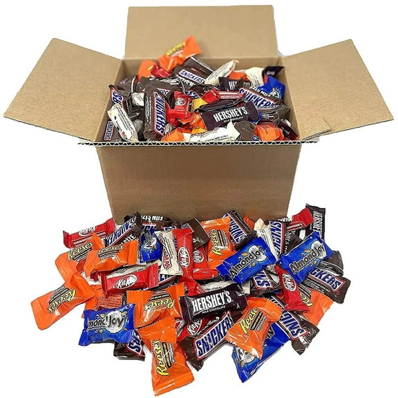 Bulk Chocolate Candy: Individually Wrapped Fun Size Mix for Halloween Trick-or-Treating Easter Eggs Candy Dishes Wedding Size: 8 Pounds