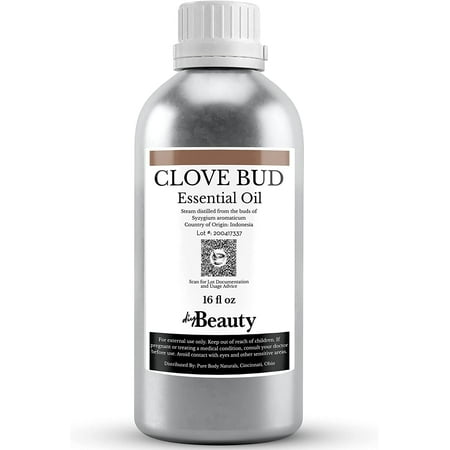 Bulk Clove Essential Oil - 16 fl oz - Large Size Bottle, 100% Pure High Eugenol Content by DIYBeauty