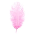 thumbnail image 1 of Bulk Craft Feathers, Durable Versatile Practical Functional Soft Natural Feathers for DIY Crafting Projects, Dream Catchers, Thanksgiving, Wedding Party Costume and Home Decor,Pink, 1 of 2