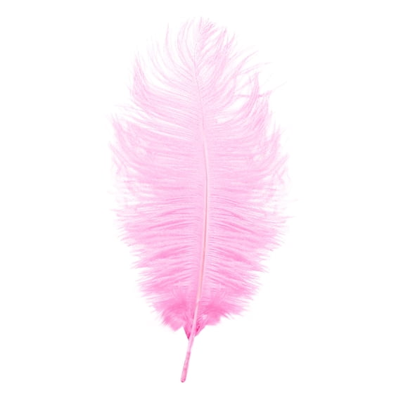 Bulk Craft Feathers, Durable Versatile Practical Functional Soft Natural Feathers for DIY Crafting Projects, Dream Catchers, Thanksgiving, Wedding Party Costume and Home Decor,Pink