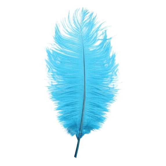 Bulk Craft Feathers, Durable Versatile Practical Functional Soft Natural Feathers for DIY Crafting Projects, Dream Catchers, Thanksgiving, Wedding Party Costume and Home Decor,Blue