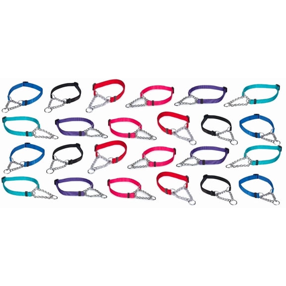Bulk Dog Collars 25 Adjustable Chain Martingales Assorted Color Rescue Shelter (Large - 22 to 34 Inch)